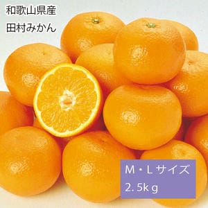 和歌山県産 田村みかん M・Lサイズ2.5kg(赤秀)【お届け期間:11月25日〜12月25日】【旬鮮便】【NN】