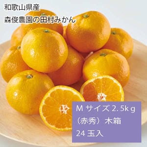 和歌山県産 森俊農園の田村みかん Mサイズ2.5kg(赤秀)木箱 24玉入【お届け期間:11月25日〜12月25日】【旬鮮便】【NN】