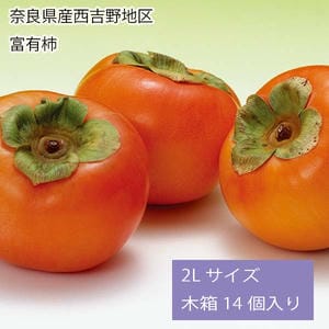 奈良県産西吉野地区 富有柿 2Lサイズ 木箱 14個入り【お届け期間:11月11日〜12月15日】【旬鮮便】【NN】