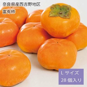 滋賀県産今津地区 富有柿 Lサイズ 28個入り【お届け期間:11月25日〜12月25日】【旬鮮便】【NN】