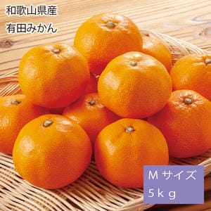 和歌山県産 有田みかん Mサイズ5kg(赤秀)【お届け期間:11月25日〜12月25日】【旬鮮便】【NN】