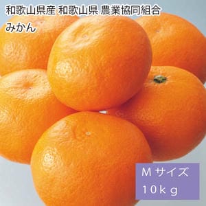 和歌山県産和歌山県農業協同組合 みかん Mサイズ 10kg【お届け期間:11月25日〜12月20日】【旬鮮便】【NN】