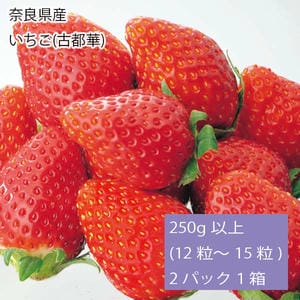 奈良県産 いちご(古都華) 250g以上(12〜15粒) 2パック1箱【お届け期間:2月1日〜3月20日】【旬鮮便】【NN】