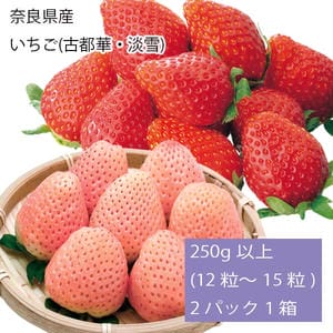 奈良県産 いちご(古都華・淡雪) 250g以上(12〜15粒) 2パック1箱【お届け期間:2月1日〜3月20日】【旬鮮便】【NN】