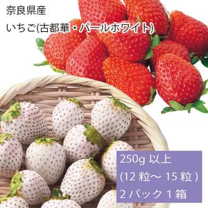 奈良県産 いちご(古都華・パールホワイト) 250g以上(12〜15粒) 2パック1箱【お届け期間:2月1日〜3月20日】【旬鮮便】【NN】