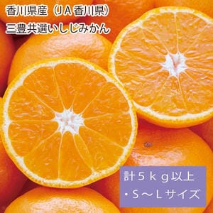 香川県産(JA香川県) 三豊共選いしじみかん 計5kg以上・S〜Lサイズ【お届け期間:12月1日〜12月28日】【旬鮮便】【NN】