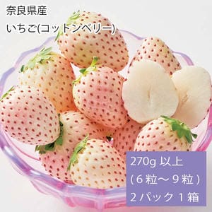 奈良県産 いちご(コットンベリー) 250g以上(6〜9粒) 2パック1箱【お届け期間:2月1日〜3月31日】【旬鮮便】【NN】