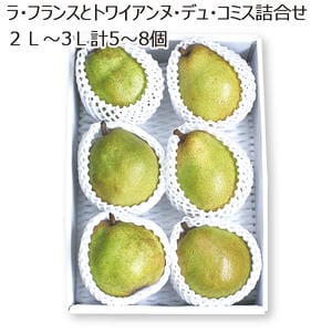 山形県産 ラ・フランスとトワイアンヌ・デュ・コミス詰合せ 2L〜3L(計5〜8個) 【限定100点】【お届け期間:11/15(土)〜12/15(月)】【MK】