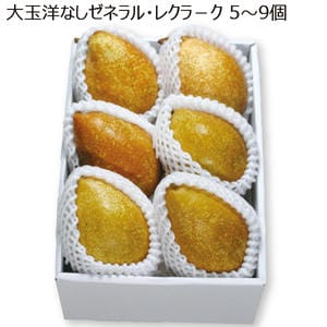 福島県産 大玉洋なしゼネラルレ・クラーク 5〜9個 【限定100点】【お届け期間:11/21(金)〜12/20(土)】【MK】