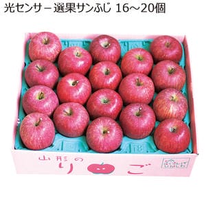 山形県産(JAさくらんぼひがしね) 光センサ-選果サンふじ 16〜20個 【限定100点】【お届け期間:11/21(金)〜12/20(土)】【MK】