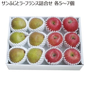 山形県産 サンふじとラ・フランス詰合せ 各5〜7個【限定100点】【お届け期間:11/21(金)〜12/31(水)】【MK】