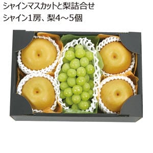 山形県産 シャインマスカットと梨詰合せ シャイン1房、梨4〜5個【限定100点】【お届け期間:10/25(土)〜11/30(日)】【MK】