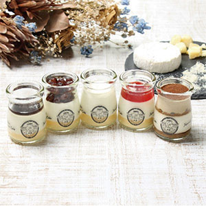 島根 いずもちーずけーき本舗 いずもちーずけーき 人気5種セット【冬の贈りもの・お歳暮】【NN】