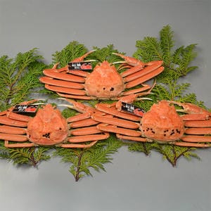 鳥取 大漁市場なかうら 境港産 松葉がに 小 3枚入【冬の贈りもの・お歳暮】【NN】