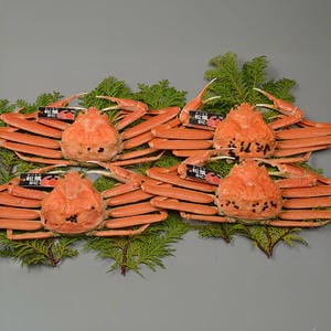 鳥取 大漁市場なかうら 境港産 松葉がに 小 4枚入【冬の贈りもの・お歳暮】【NN】