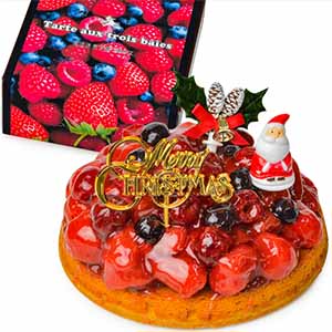 魔法洋菓子店ソルシエ ベリーグッドタルトケーキ クリスマス飾り付【イオンのクリスマス】