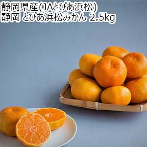 静岡県産(JAとぴあ浜松) 静岡 とぴあ浜松みかん 2.5kg【限定500点】【お届け期間:11月15日〜12月10日】【ブラックフライデー】