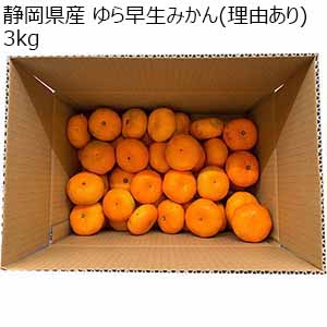 静岡県産 ゆら早生みかん(理由あり) 3kg【限定500点】【お届け期間:11月10日〜11月30日】【ブラックフライデー】
