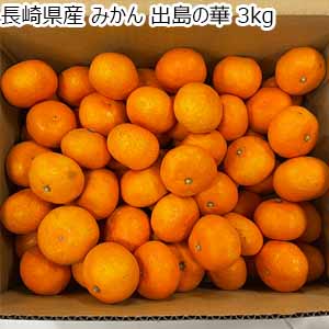 長崎県産 みかん 出島の華 3kg【限定100点】【お届け期間：12月10日〜12月30日】【ブラックフライデー】