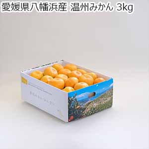 愛媛県八幡浜産 温州みかん 3kg【限定1000点】【お届け期間:11月20日〜12月25日】【ブラックフライデー】