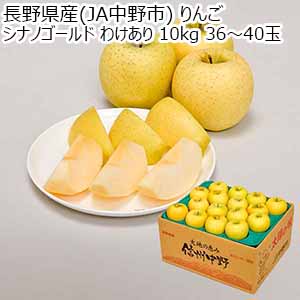 長野県産(JA中野市) りんご シナノゴールド わけあり 10kg 36〜40玉【限定100点】【お届け期間：11月20日〜11月30日】【ブラックフライデー】