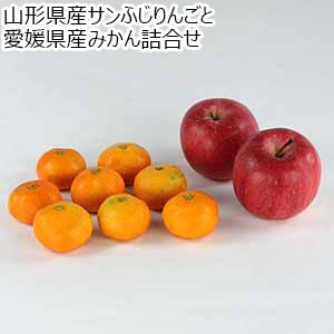 山形県産サンふじりんごと愛媛県産みかん詰合せ【お届け期間：11月25日〜12月31日】【ブラックフライデー】