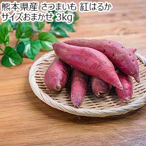 熊本県産 さつまいも 紅はるか サイズおまかせ 3kg【限定1000点】【お届け期間：12月1日〜12月30日】【ブラックフライデー】