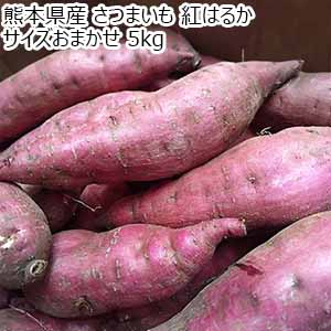 熊本県産 さつまいも 紅はるか サイズおまかせ 5kg【限定500点】【お届け期間：12月1日〜12月30日】【ブラックフライデー】
