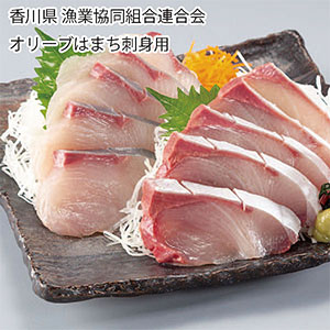 香川県漁業協同組合連合会 オリーブはまち刺身用(1枚フィーレ1.2kg)【お届け期間:11月11日〜1月10日】【旬鮮便】【NN】