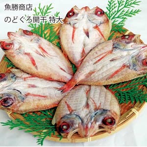 島根 魚勝商店 のどぐろ開干特大 5尾【お届け期間:11月11日〜1月10日】【旬鮮便】【NN】