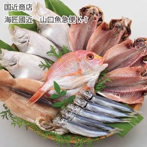 山口 国近商店 海匠國近 山口魚急便 K-1(あじ開き4枚、連子鯛開き1枚、カレイ一汐3枚、するめいか開き1枚、ウルメ丸干し5尾)【お届け期間:11月11日〜1月10日】【旬鮮便】【NN】