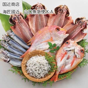 山口 国近商店 海匠國近 山口魚急便 K-A(あじ開き4枚、連子鯛開き1枚、のどぐろ開き1枚、釜揚げちりめん60g、うるめ丸干し5尾)【お届け期間:11月11日〜1月10日】【旬鮮便】【NN】
