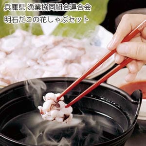 兵庫県漁業協同組合連合会 明石だこの花しゃぶセット（花しゃぶ200g×2、だし90ml、ポン酢100ml、たれ×5）【お届け期間:11月11日〜1月10日】【旬鮮便】【NN】