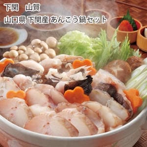 山口 下関 山賀 山口県下関産あんこう鍋セット（切身400gx2、鍋だしx2，ポン酢x6、もみじおろしx6）【お届け期間:11月11日〜1月10日】【旬鮮便】【NN】