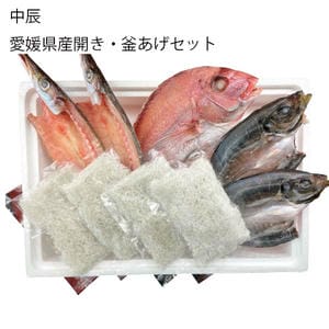 徳島 中辰 愛媛県産開き・釜あげセット(あじ開き2枚、たい開き1枚、かます開き2枚、釜あげしらす40g×4)【旬鮮便】【NN】