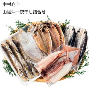 鳥取 中村商店 山陰沖一夜干し詰合せ(はたはた×6、干かれい×2、真あじ×3、とびうお×2、するめいか)【お届け期間:11月11日〜1月10日】【旬鮮便】【NN】
