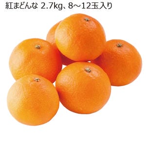 愛媛県産 紅まどんな2.7kg(8玉〜12玉入り)【お届け期間】2025/12/10‐2025/12/31【KN】