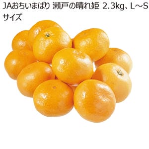 愛媛県産 JAおちいまばり 瀬戸の晴れ姫 2.3kg L〜Sサイズ【お届け期間】2025/12/10‐2025/12/31【KN】