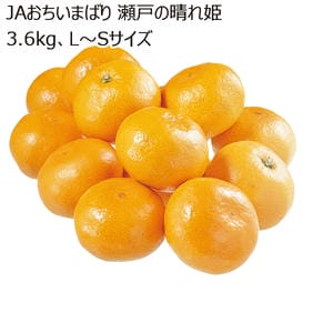 愛媛県産 JAおちいまばり 瀬戸の晴れ姫 3.6kg L〜Sサイズ【お届け期間】2025/12/15‐2025/12/31【KN】