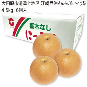 栃木県産 大田原市湯津上地区 江崎哲治さんちのにっこり梨(4.5kg・6個入)お届け期間】2025/10/25‐2025/12/17【KN】