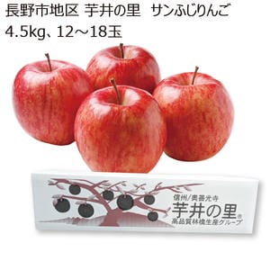 長野県産 長野市地区芋井の里 サンふじりんご4.5kg(12〜18玉)【お届け期間】2025/12/1‐2025/12/28【KN】