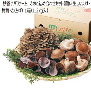 群馬県産・埼玉県 産妙義ナバファーム きのこ詰め合わせセット(菌床生しいたけ・舞茸・きくらげ)1箱(1.2kg入)【お届け期間】2025/11/20‐2026/1/8【KN】