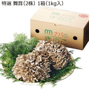 群馬県産 特選 舞茸(2株)1箱(1kg入)【お届け期間】2025/11/20‐2026/1/8【KN】