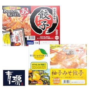 栃木県 青源味噌 宇都宮青源の餃子詰合せ2種入【お届け期間】2025/10/20‐2026/01/07【KN】