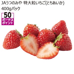 掌に乗る11粒の籠摘み苺 楽天市場】特別栽培 いちご 身内へのギフト・贈答、うち使い用 1