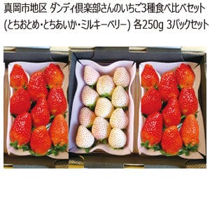 栃木県産 真岡市地区 ダンディ倶楽部さんのいちご3種食べ比べセット(とちおとめ・とちあいか・ミルキーベリー)各250g 3パックセット【お届け期間】2026/1/7‐2026/3/31【KN】