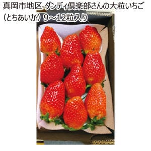 栃木県産 真岡市地区 ダンディ倶楽部さんの大粒いちご(とちあいか)9-12粒入り【お届け期間】2026/1/7‐2026/3/31【KN】