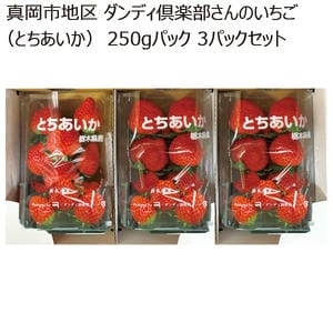 栃木県産 真岡市地区 ダンディ倶楽部さんのいちご(とちあいか)250gパック 3パックセット【お届け期間】2026/1/7‐2026/3/31【KN】
