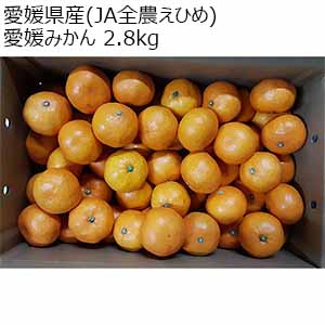 愛媛県産(JA全農えひめ) 愛媛みかん 2.8kg【限定300点】【お届け期間:11月15日〜12月27日】【お買い得セール10月】