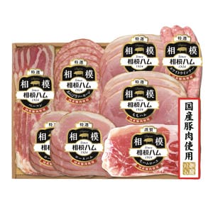 相模ハム 国産豚肉使用ハムギフト8点入りSGK-503 1個507g 【お届け期間:11/14(金)〜12/24(水)】【冬の贈りもの・お歳暮】【MK】